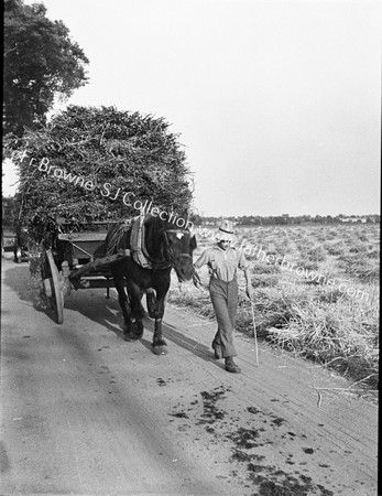 FARMER LEADING HORSE AND CART